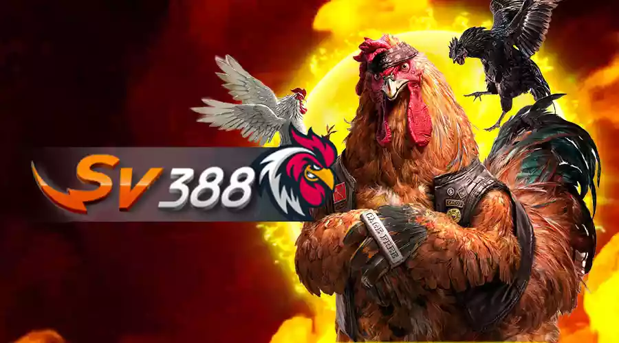 Sabung Ayam SV388 Games